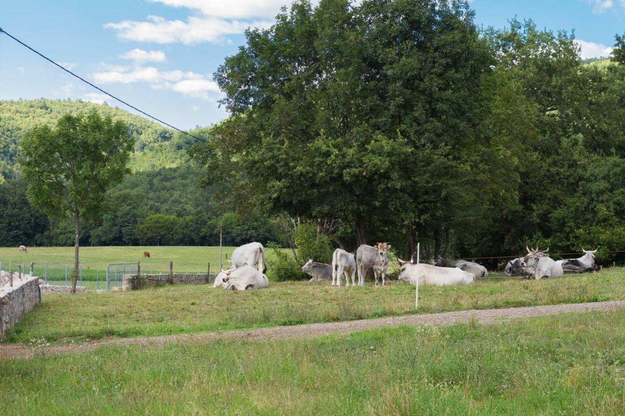 Bulada Property Boljun エクステリア 写真